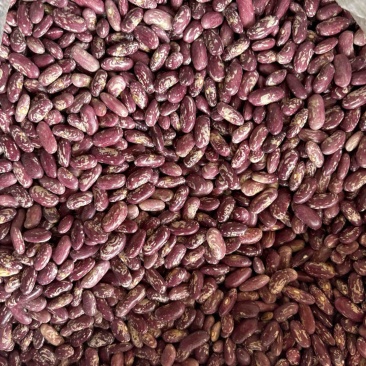 毕节大方干花豆米二花豆米酸菜豆米一手货源量大从优