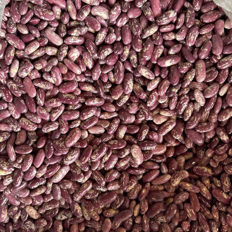 毕节大方干花豆米二花豆米酸菜豆米一手货源量大从优