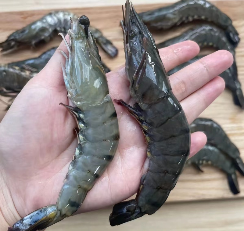 黑虎虾，价格便宜，货源充足，规格齐全，欢迎选购咨询