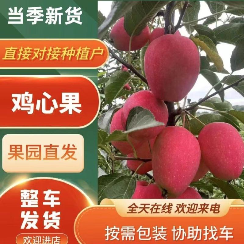 大量上市鸡心果，无雹伤，有需要的欢迎来采购