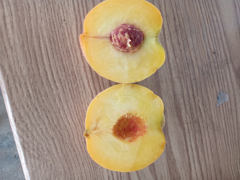 黄桃