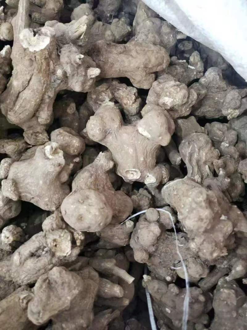 白术26年新产二年生有可来人或线上交易可发物流快递收到货