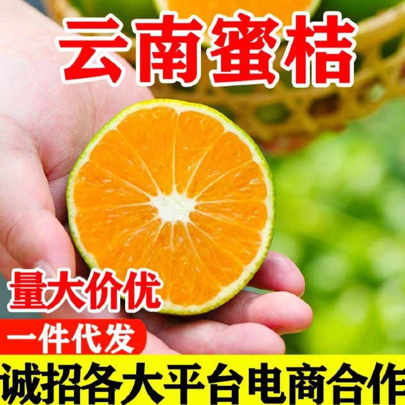 《电商果》云南蜜橘，电商社团美团多多买菜直供