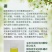 流体硼提高受粉保花保果提高坐果率花前补硼必选厂家直销