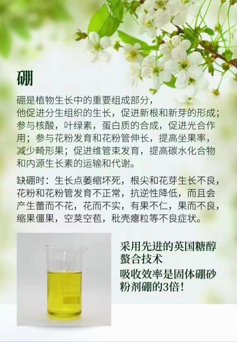 流体硼提高受粉保花保果提高坐果率花前补硼必选厂家直销