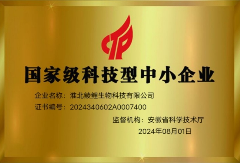 平菇菌棒出菇菌棒基地直发发满菌发货，免费提供技术支持。