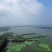 精品高邮湖，六月黄螃蟹