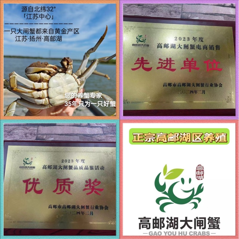 精品高邮湖，六月黄螃蟹