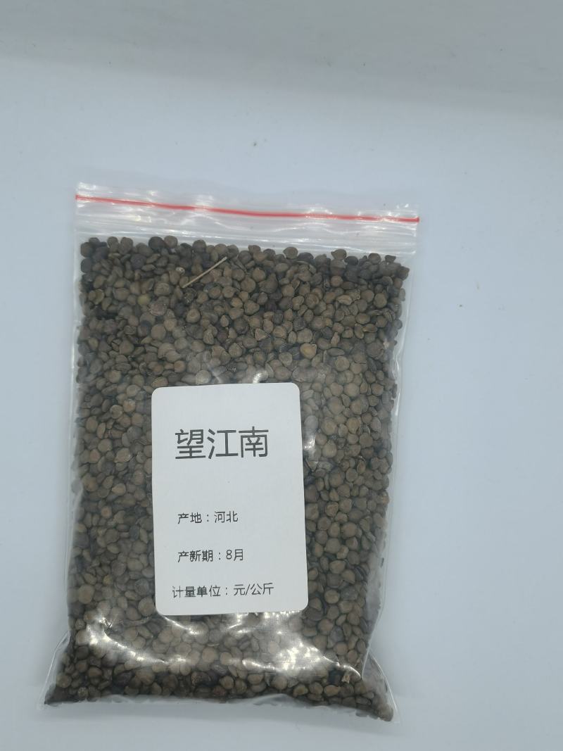 望江南别名：金花豹子，金豆子，羊角豆
