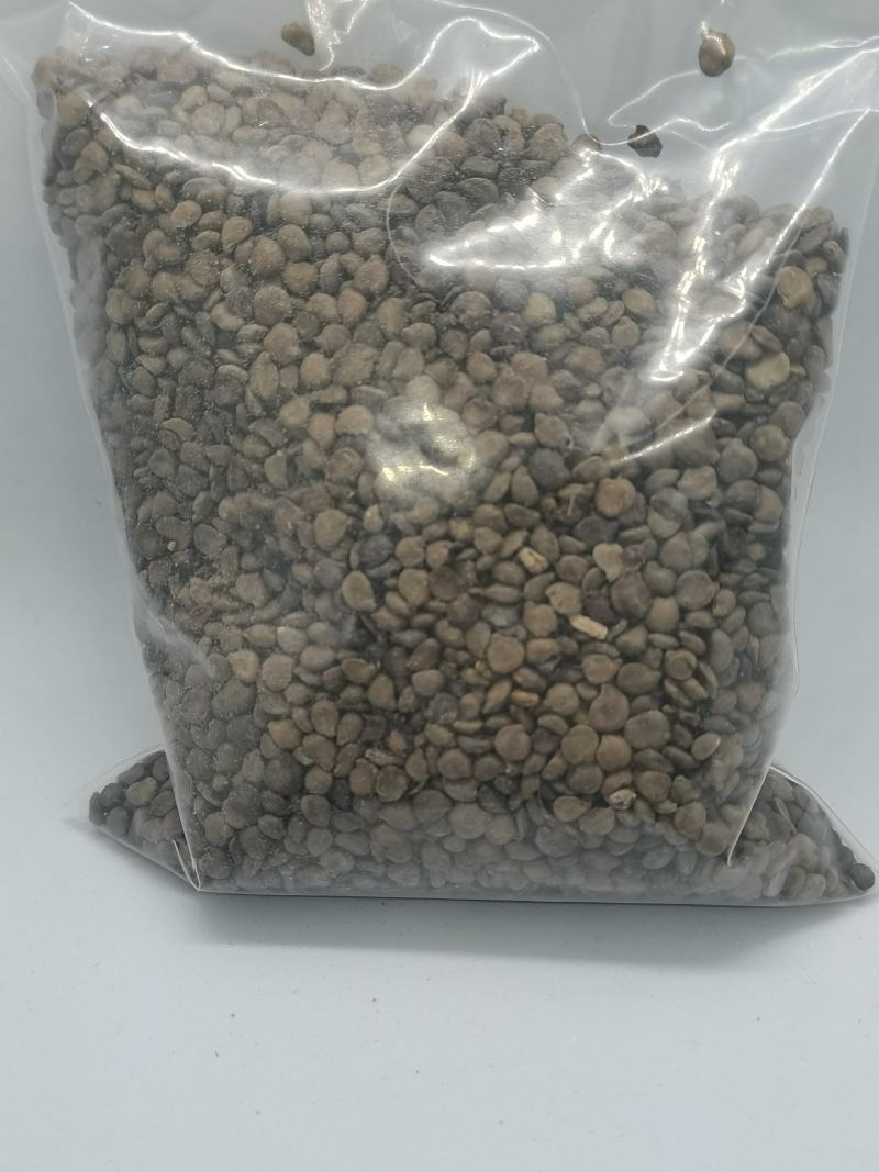 望江南别名：金花豹子，金豆子，羊角豆