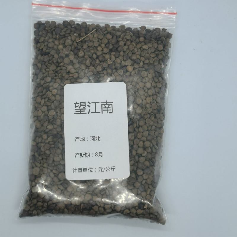 望江南别名：金花豹子，金豆子，羊角豆