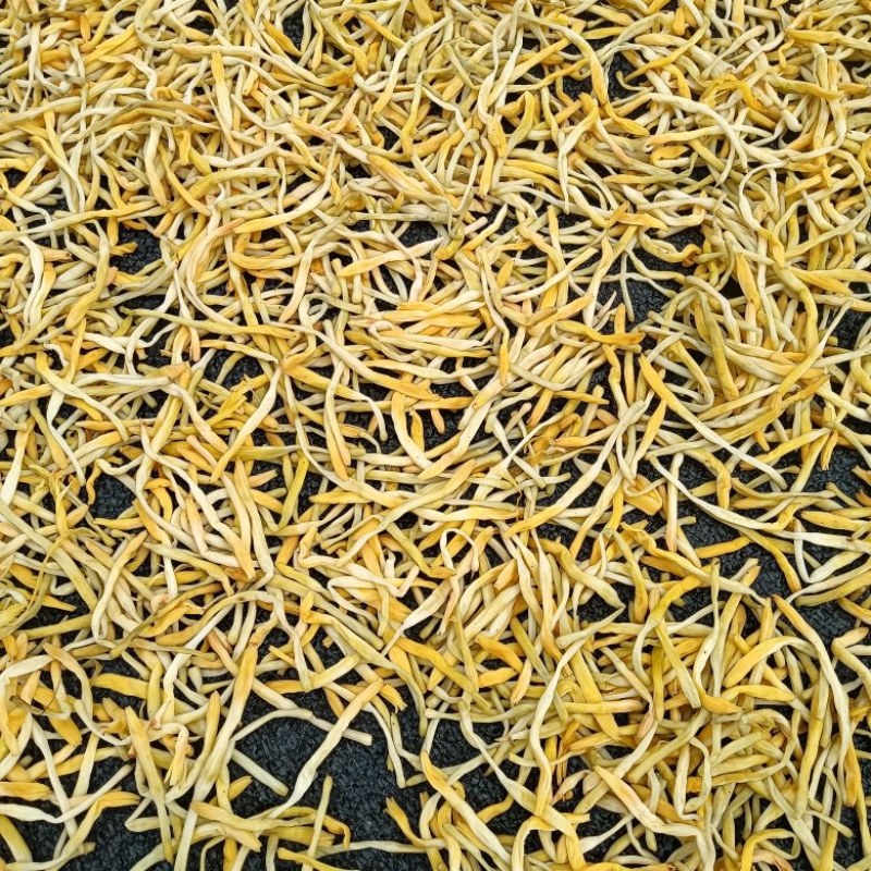 黄花菜