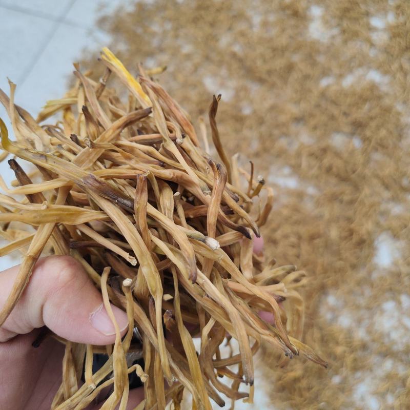 黄花菜
