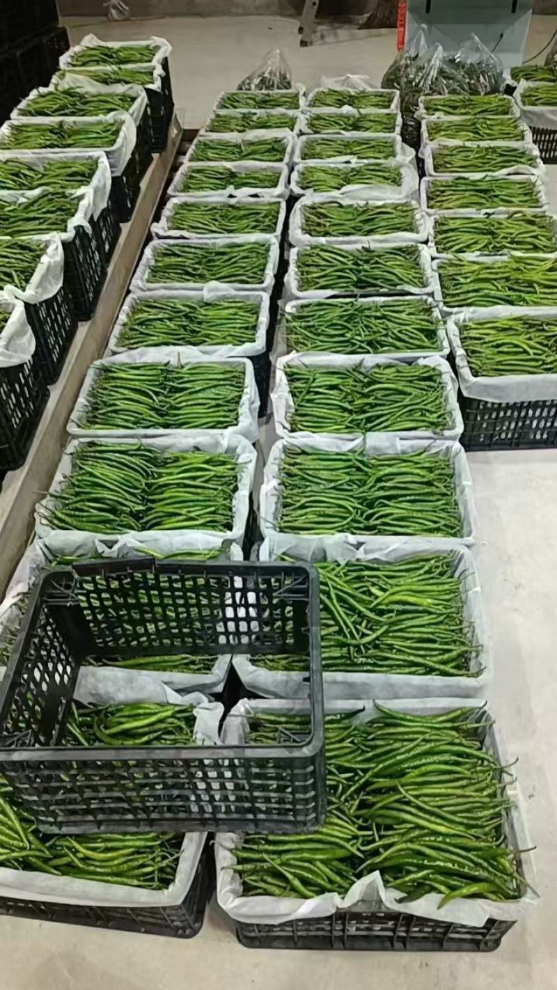 辣椒