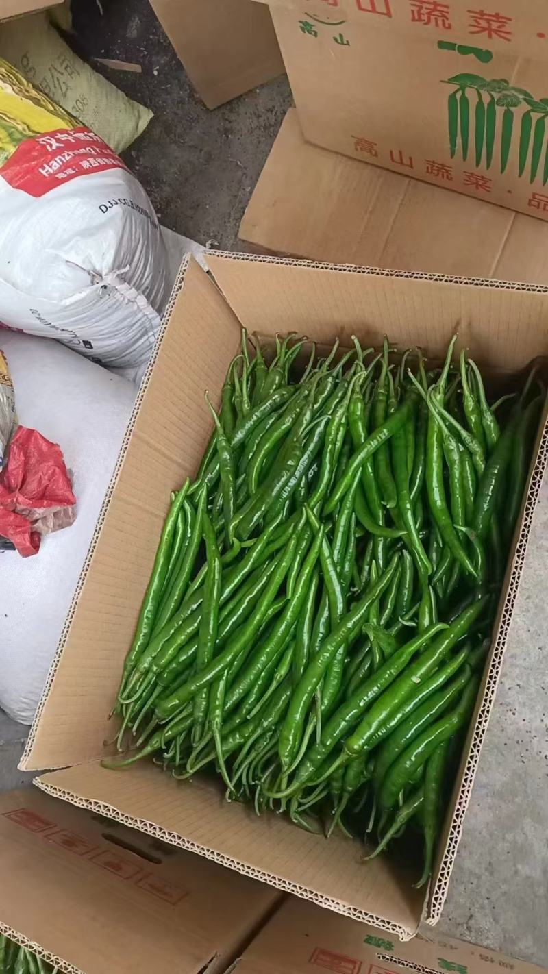 辣椒