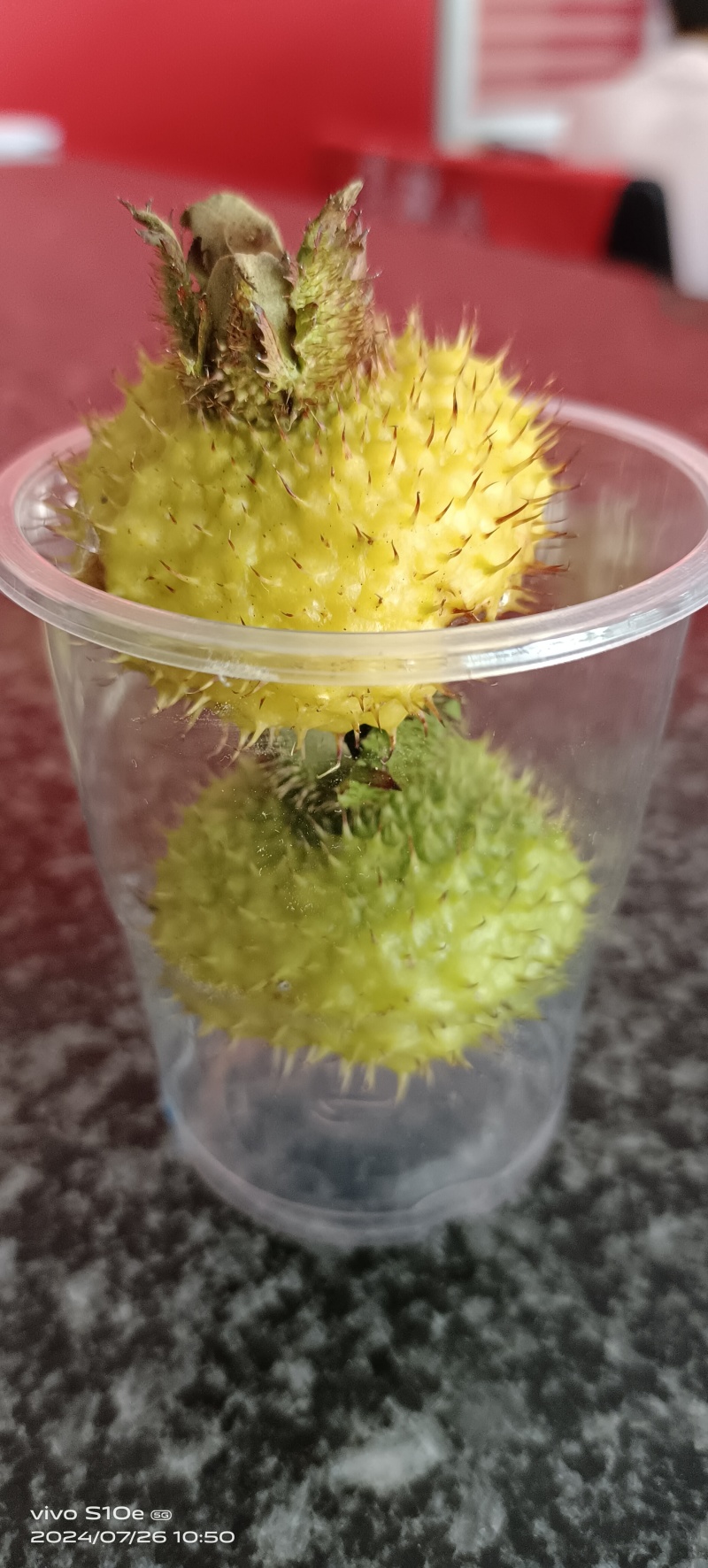 贵州野生刺梨