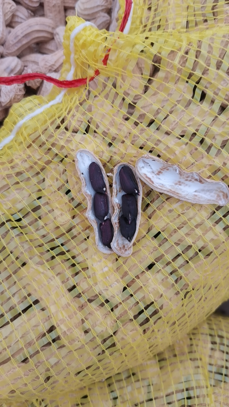 云南孟连黑花生云南黑花生