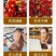 （包邮）100泡正宗黄苦荞茶小袋茶大包装四川大凉山麦香型