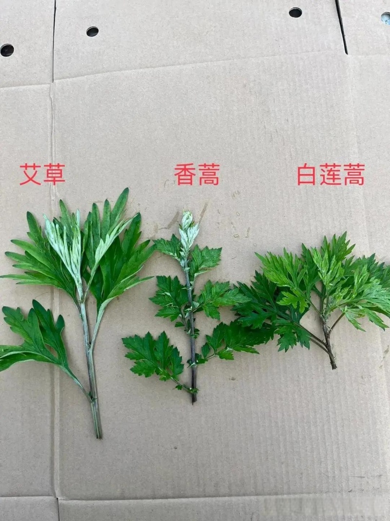 野生艾叶陈艾全叶全棵切段精挑细选干净无杂质