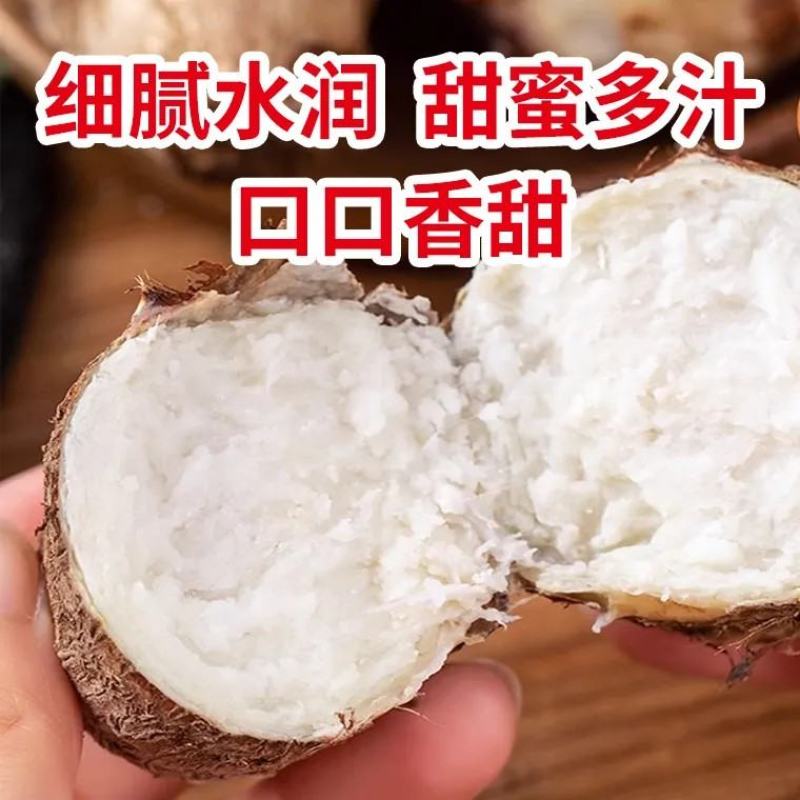 精品芋头，大球，二球，通货都有，不一样的商品不一样的价位