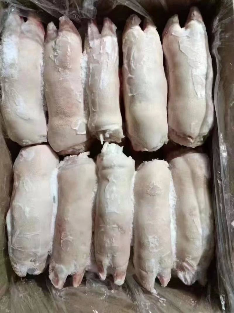 纯干猪蹄