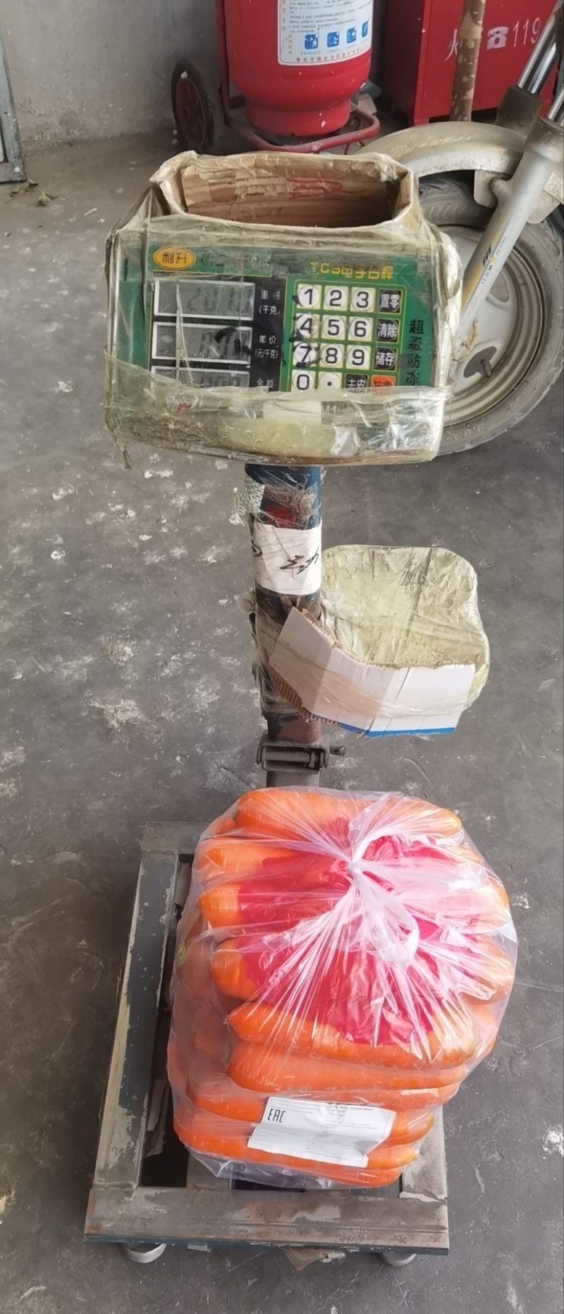 山东胡萝卜品质保证，常年有货专业对接商超、出口等