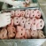猪鼻子