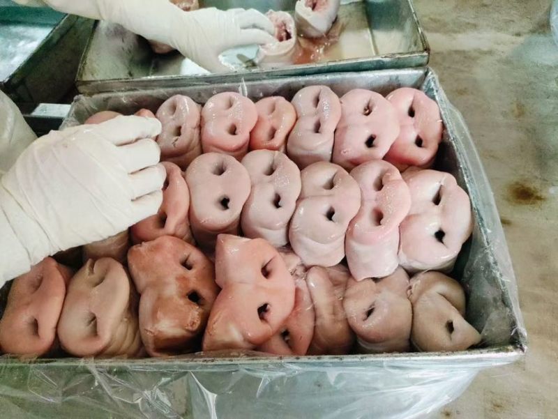 猪鼻子