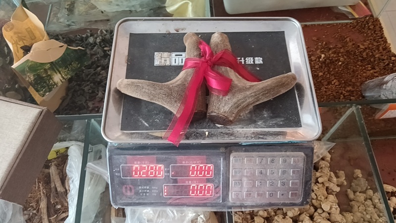 干鹿茸元宝头批发镰刀切煲汤泡酒泡茶，一件代发可以搭配礼盒