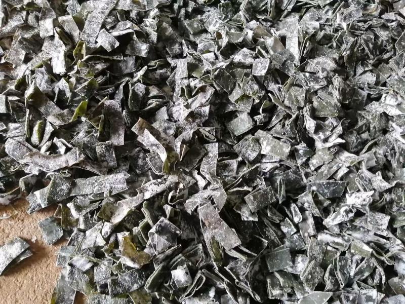 海带条麻辣烫海带条干海带海带条水洗烘干海带条产地直发