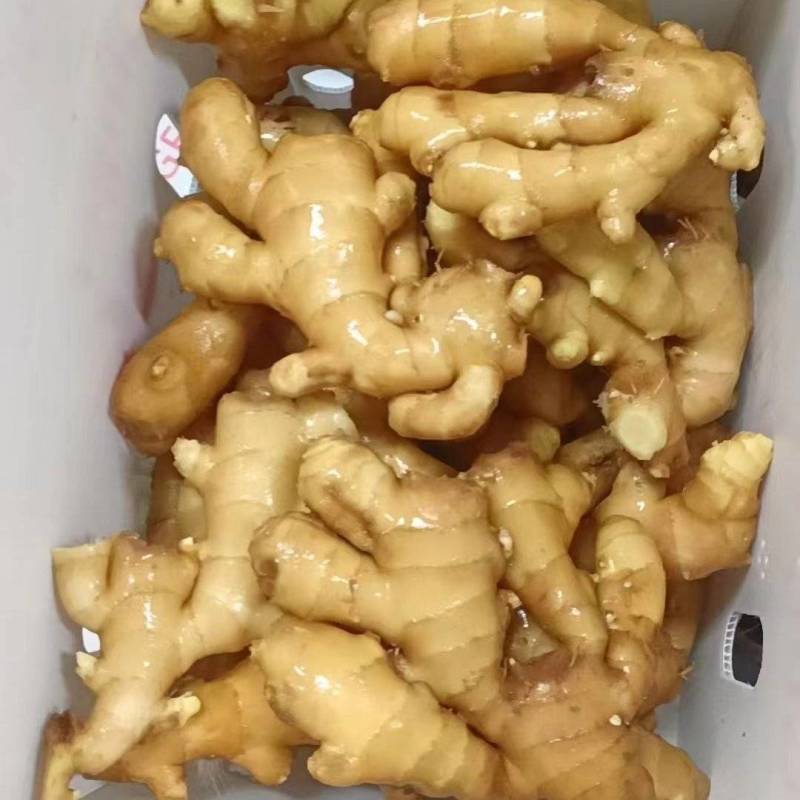 生姜，大黄姜自营加工厂电商出口小黄姜电商均可供应一件代发
