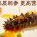 [好货推荐]辽宁即食海参刺参开袋速食鲜蒸大连辽参
