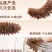 [好货推荐]辽宁即食海参刺参开袋速食鲜蒸大连辽参