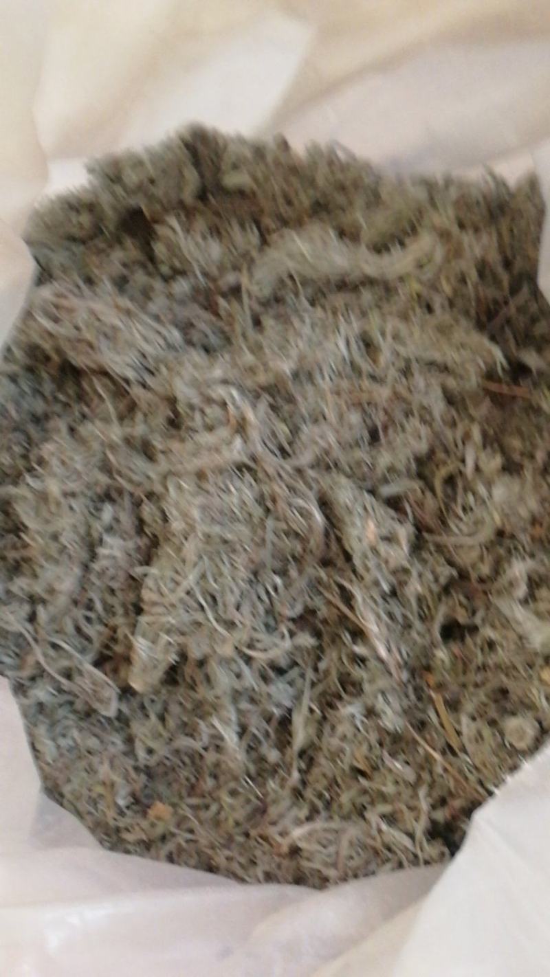 茵陈