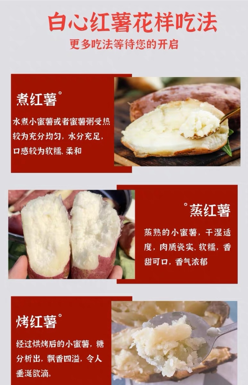 重庆白心红薯商薯19粉糯香甜板栗薯5斤电商一件