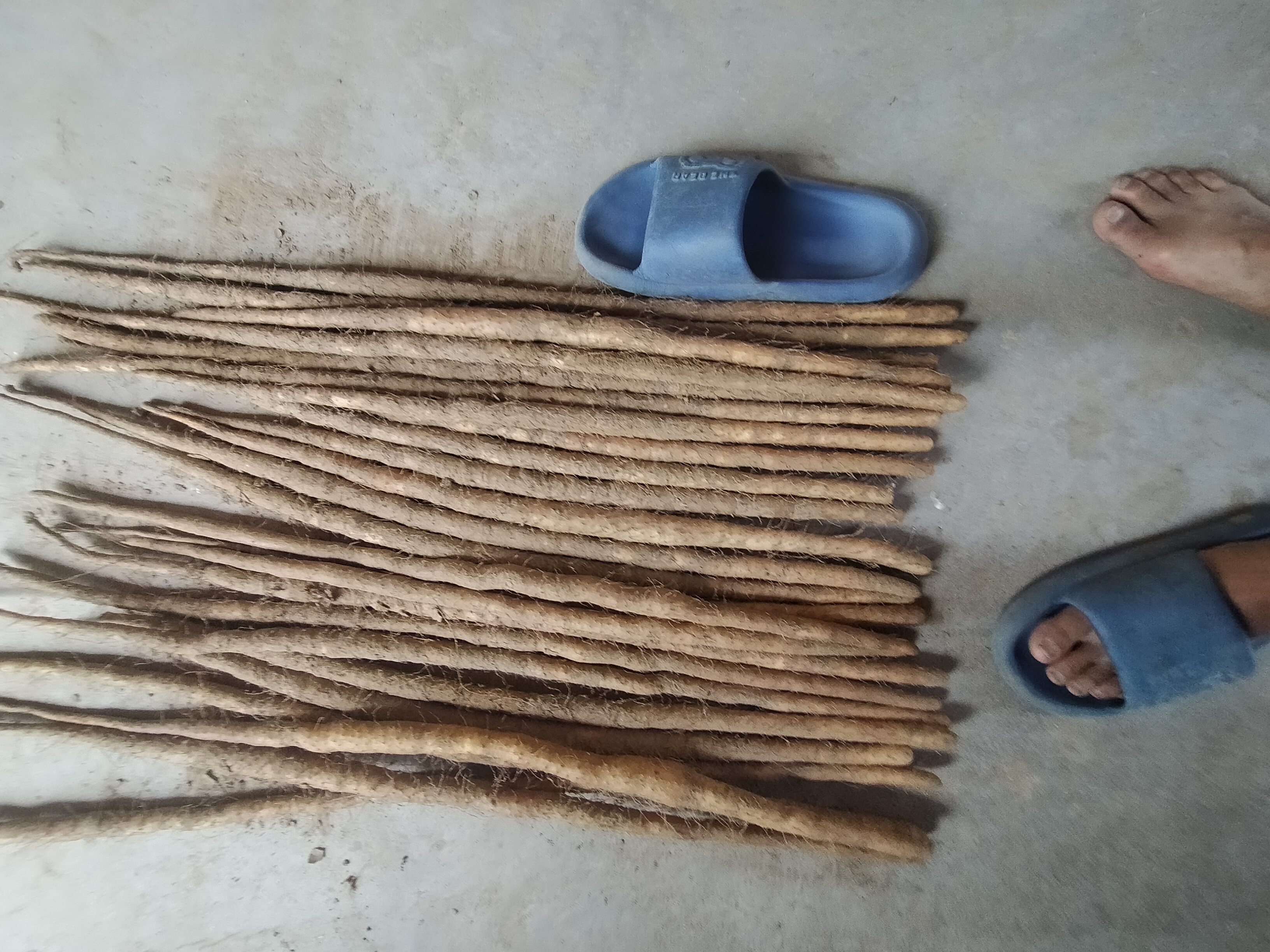 铁棍山药切片与血糖仪对比图