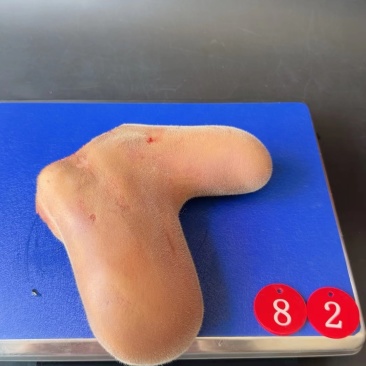 鲜鹿茸片一袋，50克，批发一件代发