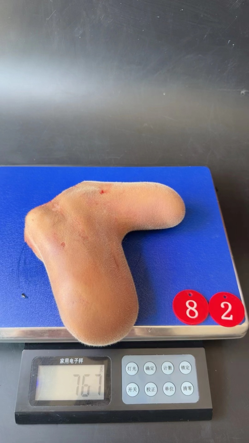 鲜鹿茸片一袋，50克，批发一件代发