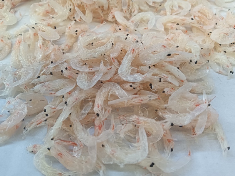 大板淡干虾皮！干度足！