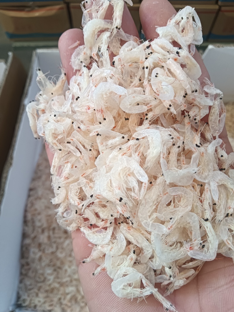 大板淡干虾皮！干度足！