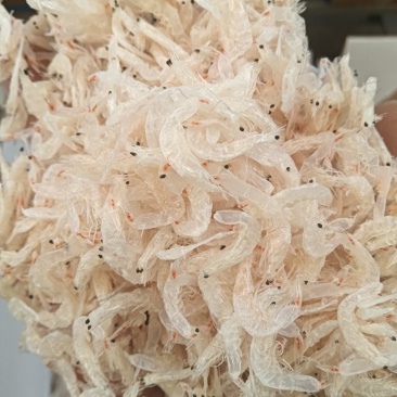 大板淡干虾皮！干度足！