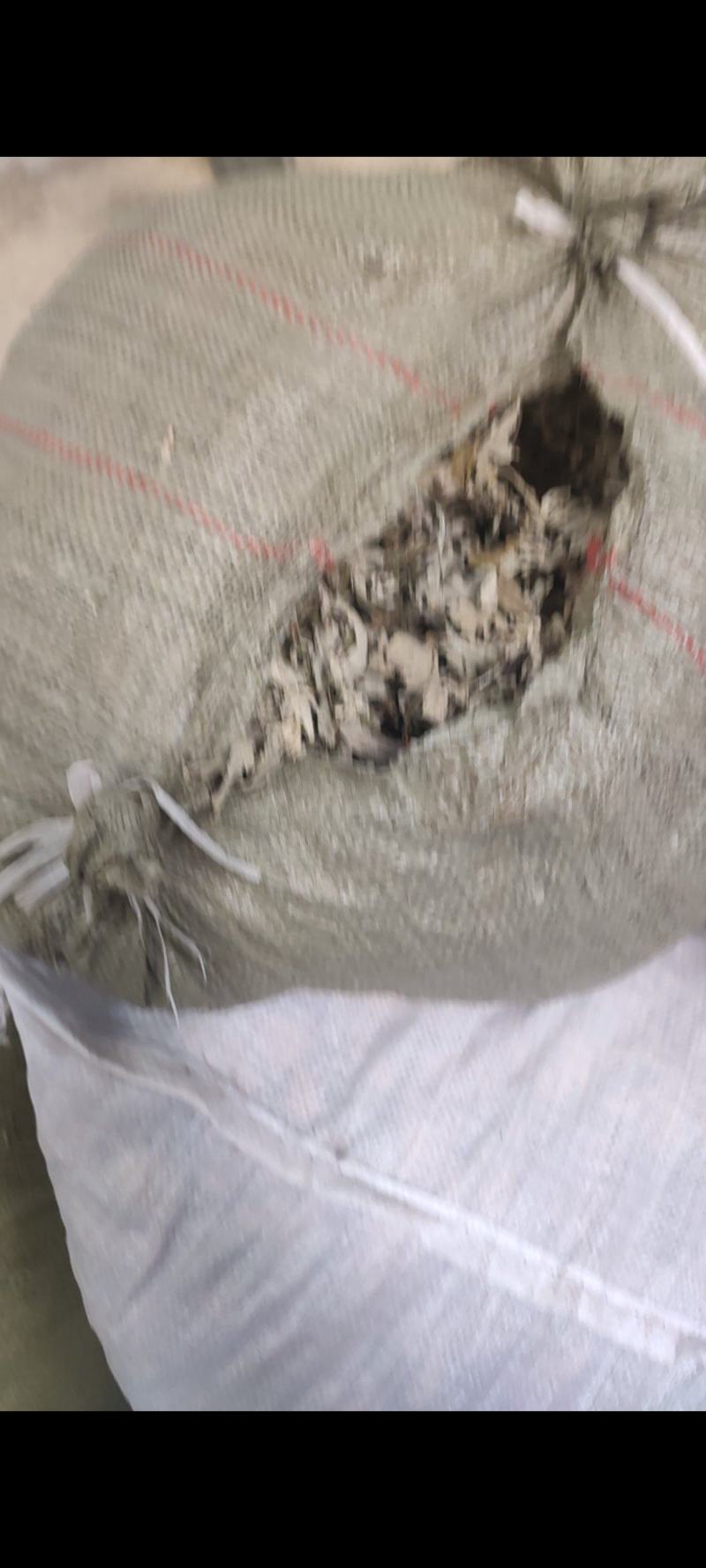 艾叶，大别山野生三年陈艾叶