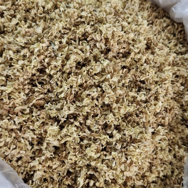 槐花干货选货药食同源2斤起发货