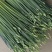山东平度韭苔韭菜苔精品库存韭苔，即将出库量大从优