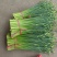 山东平度韭苔韭菜苔精品库存韭苔，即将出库量大从优