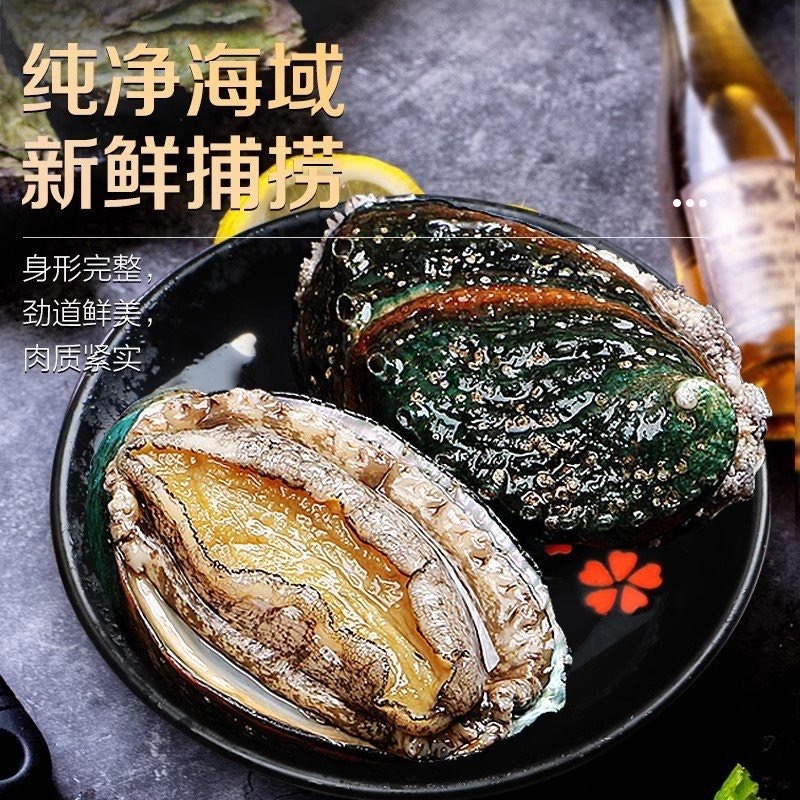 新鲜超大个鲍鱼鲜活冷冻鲍鱼黄金鲍鱼批发