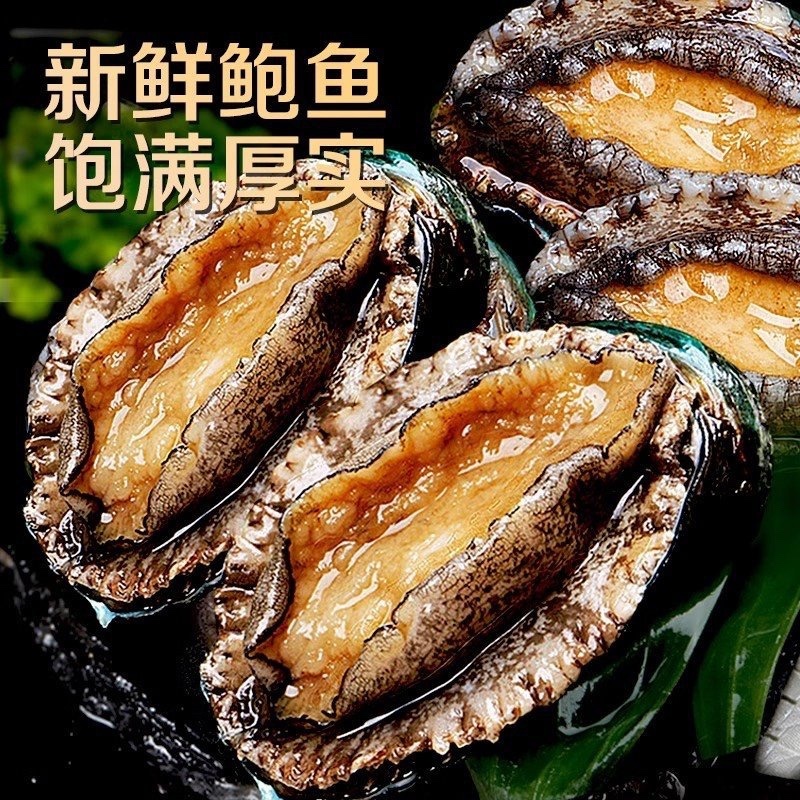 新鲜超大个鲍鱼鲜活冷冻鲍鱼黄金鲍鱼批发