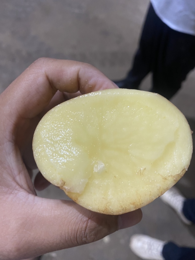 沃土五号土豆各种规格都有电商货市场货