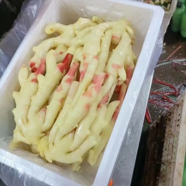 【力推】仔姜山东鲜姜大量供应保质保量质优价廉