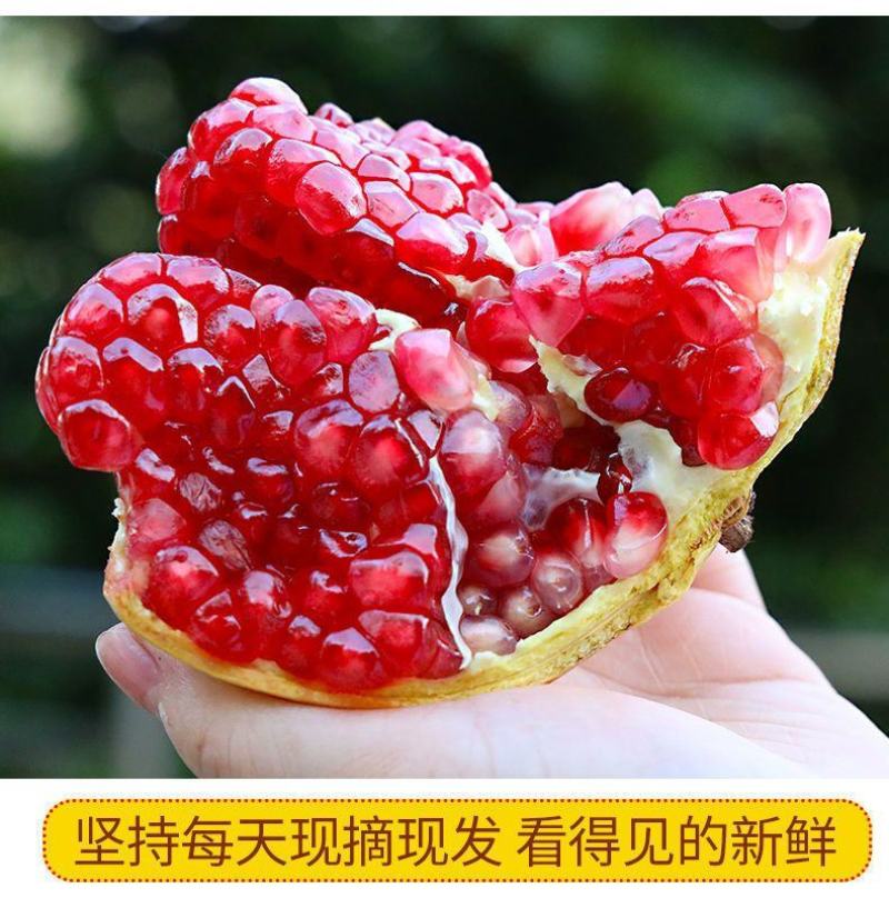 【正宗突尼斯】四川会理突尼斯软籽石榴当季新鲜蒙自石榴